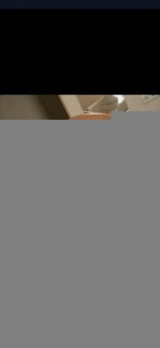 Индивидуалка Рита