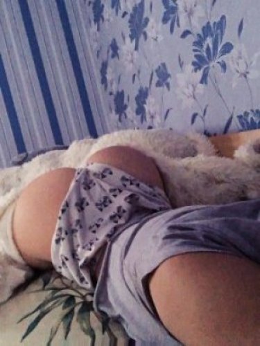 Алина экспрес 2500 